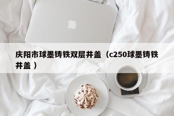 慶陽(yáng)市球墨鑄鐵雙層井蓋（c250球墨鑄鐵井蓋 ）