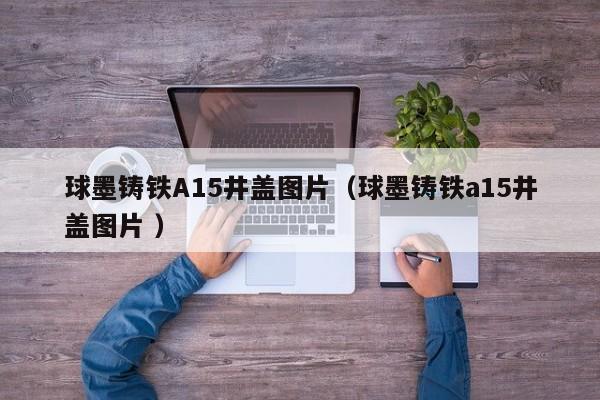 球墨鑄鐵A15井蓋圖片（球墨鑄鐵a15井蓋圖片 ）