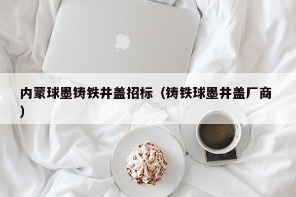 內(nèi)蒙球墨鑄鐵井蓋招標(biāo)（鑄鐵球墨井蓋廠商 ）