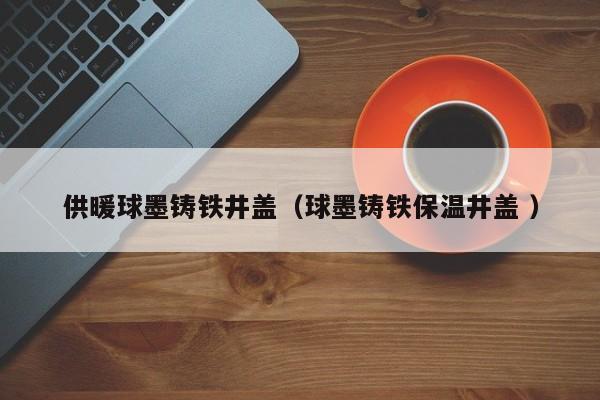 供暖球墨鑄鐵井蓋（球墨鑄鐵保溫井蓋 ）