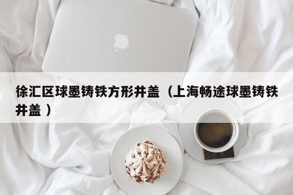 徐匯區(qū)球墨鑄鐵方形井蓋（上海暢途球墨鑄鐵井蓋 ）